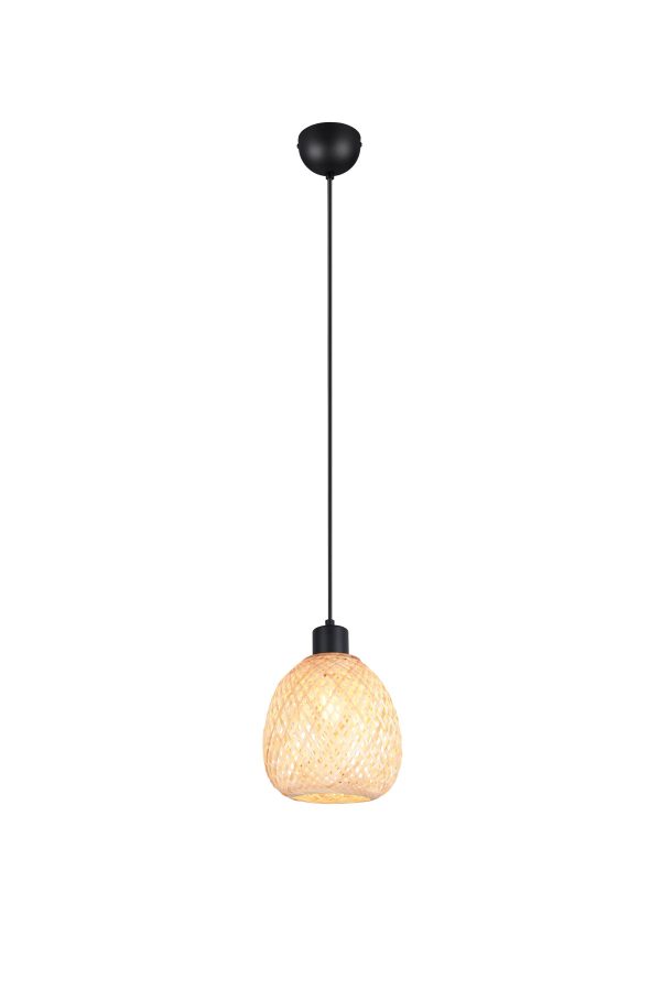 Trio TR31941036 závěsné stropní svítidlo AMELIE E27