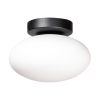 Zuma Line Z133867-027998 přisazené stropní svítidlo OMI  G9