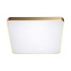 Zuma Line 003064-009111 LED přisazené stropní svítidlo SIERRA  integrovaný LED zdroj