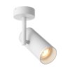 Zuma Line 003064-024574 bodové stropní svítidlo TORI  GU10