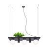 Zuma Line 003749-025970 závěsné stropní svítidlo SHELF  E14