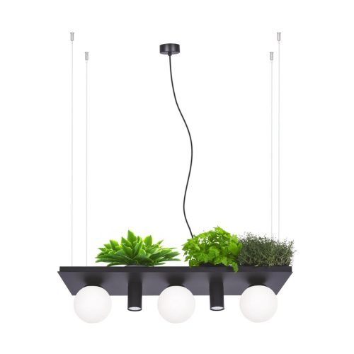 Zuma Line 003749-025970 závěsné stropní svítidlo SHELF  E14