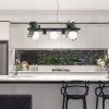 Zuma Line 003749-025970 závěsné stropní svítidlo SHELF  E14