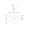 Zuma Line 003064-024508 přisazené stropní svítidlo ALI  G9