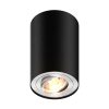 Zuma Line 003064-024550 bodové stropní svítidlo RONDOO  GU10