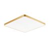 Zuma Line 003064-021965 LED přisazené stropní svítidlo SIERRA  integrovaný LED zdroj