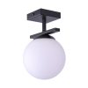 Zuma Line 002177-030021 přisazené stropní svítidlo GLOBE  E14