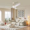 NEO LITE 07281L LED ventilátor s osvětlením BEAUTY  integrovaný LED zdroj