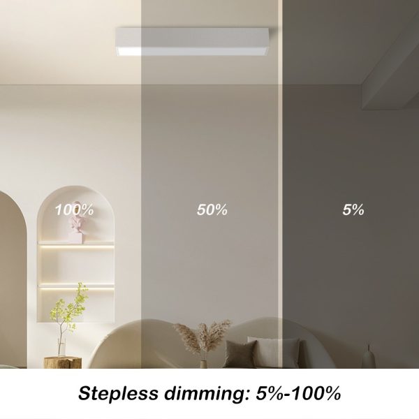 NEO LITE 07257L LED přisazené stropní svítidlo LUNGO  | 20W integrovaný LED zdroj | 1520lm