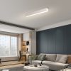 NEO LITE 07258L LED přisazené stropní svítidlo LUNGO  | 29W integrovaný LED zdroj | 2204lm