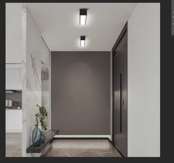 NEO LITE 07254L LED přisazené stropní svítidlo LUNGO  | 20W integrovaný LED zdroj | 1520lm