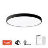 NEO LITE 07250L LED přisazené stropní svítidlo SEMPLICI  | 60W integrovaný LED zdroj | 4500lm