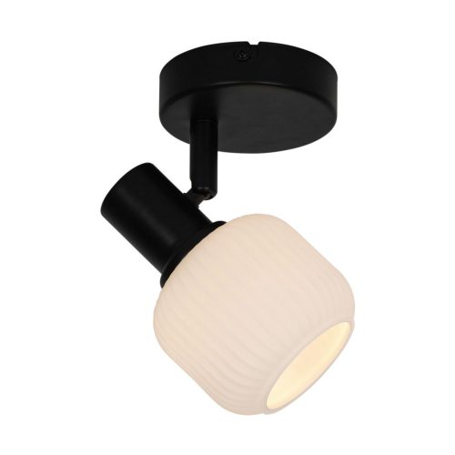 Zuma Line 003064-027540 bodové stropní svítidlo STEM  E14