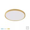 Zuma Line 003064-026395 LED přisazené stropní svítidlo CAMI  integrovaný LED zdroj