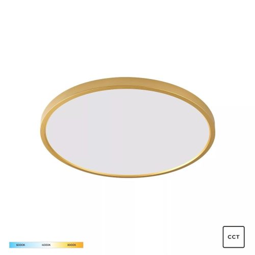 Zuma Line 003064-026395 LED přisazené stropní svítidlo CAMI  integrovaný LED zdroj