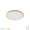 Zuma Line 003064-026394 LED přisazené stropní svítidlo CAMI  integrovaný LED zdroj