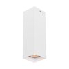 Italux CLN-28394-M-WH bodové stropní svítidlo Ander GU10
