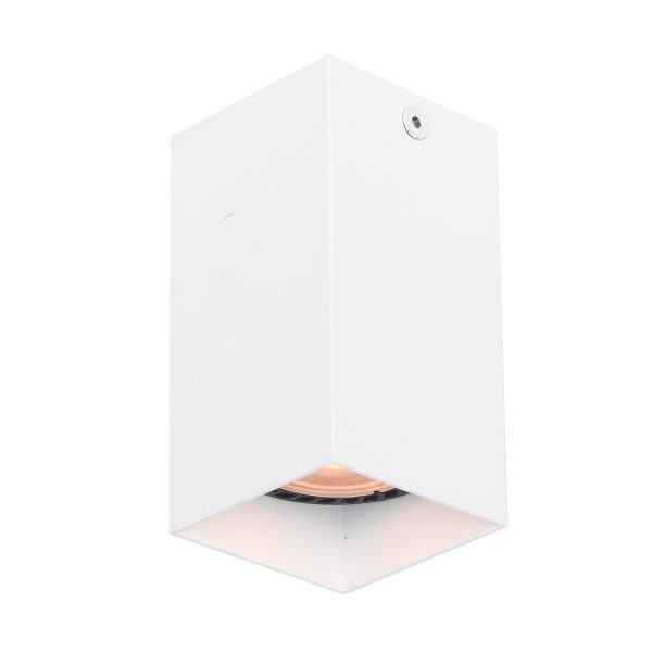 Italux CLN-28394-S-WH bodové stropní svítidlo Ander GU10
