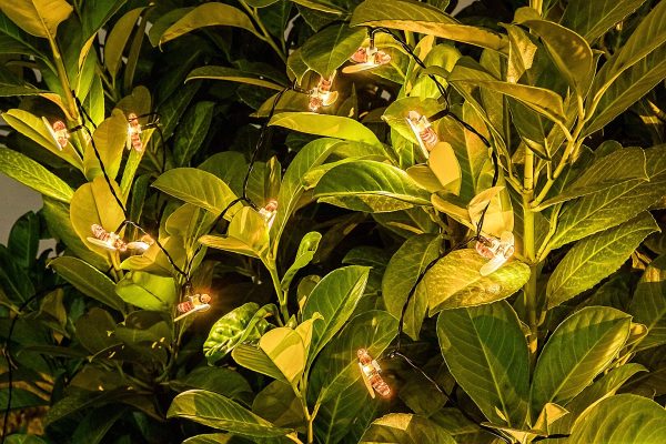 Rabalux 77002 Bobus LED Venkovní světlo s čidlem | Teplá bílá | 0,06W | Bílá | Černá